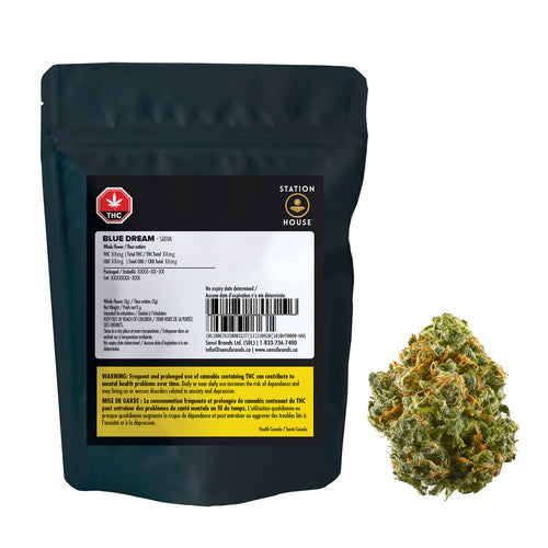 Station House Blue Dream image