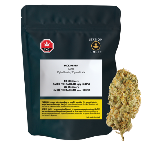 Station House Jack Herer image