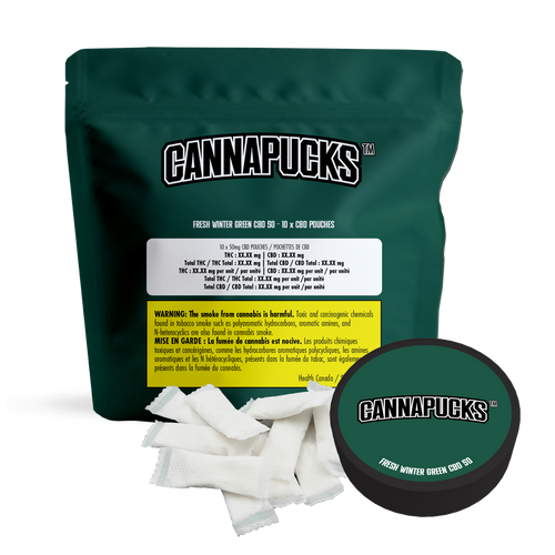 CannaPucks Fresh Winter Green CBD 50 image