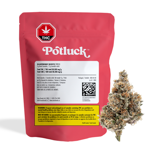 Potluck Raspberry Runtz image