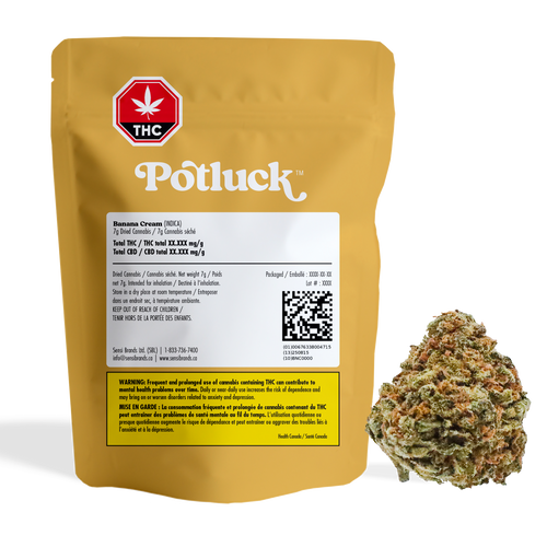 Potluck Banana Cream image