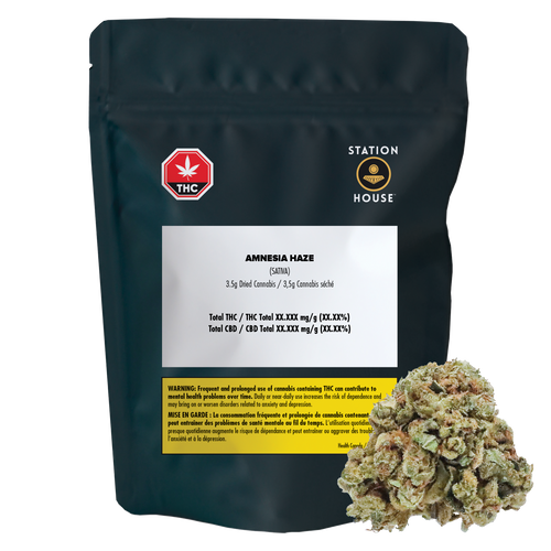 Station House Amnesia Haze image