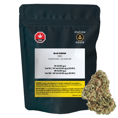 Station House Blue Dream image