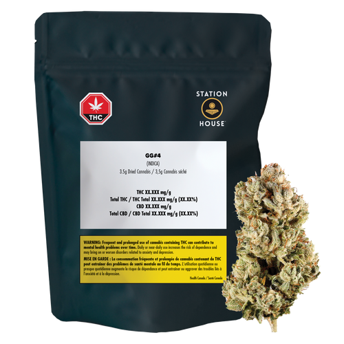 Station House GG#4 image