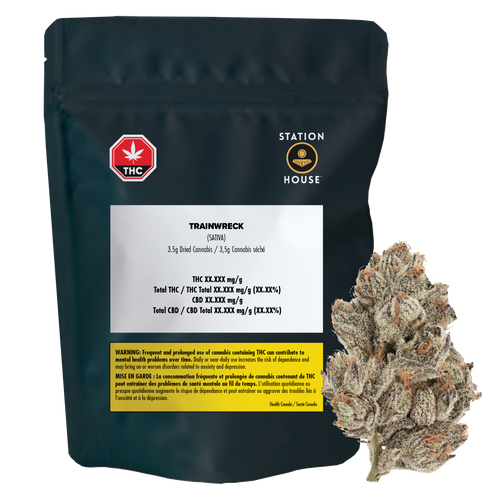 Station House Trainwreck image